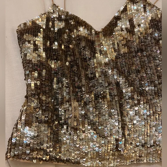 Alice + Olivia Gold Sequin Camisole Top - Picture 7 of 8